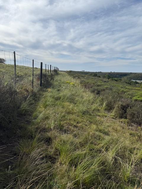 0 Bedroom Property for Sale in Kromme River Estate Eastern Cape